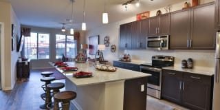 Olympus Steelyard Gallery 10