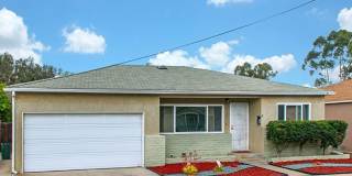 5 Bedroom House in College East - Bright and Airy on Quiet Street! 5 Bedroom House in College East - Bright and Airy on Quiet Street! Gallery 1