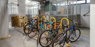 Algonquin Apartments Gallery 15