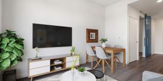 Maple Leaf Gallery 20