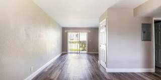 Palm Cove Apartments Gallery 3