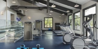 Avana Weymouth Gallery 21