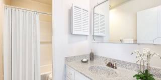 The Palm on SPID Gallery 17