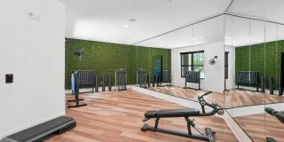 Forayna Davis Park Gallery 1