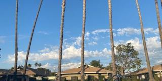 Worthy Drive Villas: Upgraded 2 Bedroom 1 Bath Condo, Gallery 11