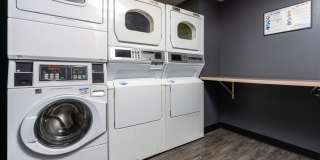 SOMA at 788 Gallery 29