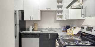 Mint Urban Infinity Gallery 2