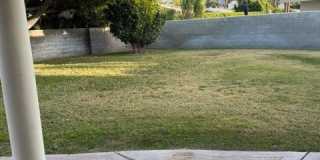 2104 Birdie Gallery 14