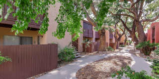 Broadway Proper Apartment Gallery 11