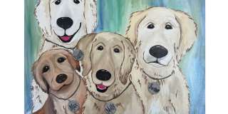 114 Blooming Cove Gallery 23