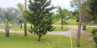 12667 88th Place N Gallery 25