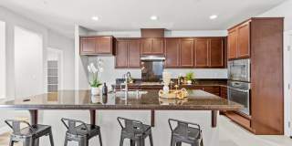 230 Steven Bridges Gallery 10
