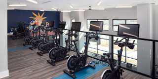 The Upton Gallery 20