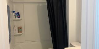 12684 European Beech Rd Gallery 11