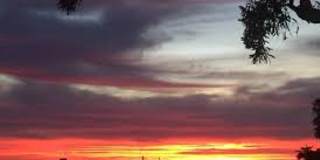 2613 Mission Blvd 2613 Mission Blvd Gallery 1