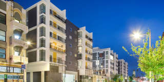 The Fifty Five Fifty Gallery 2