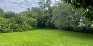 4251 Pine Hollow Circle Gallery 13