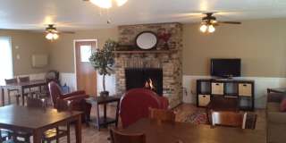 Willows on France Gallery 52