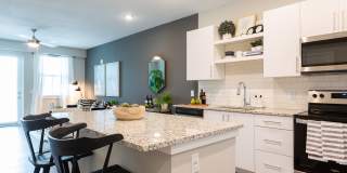 Windsor 335 Gallery 2