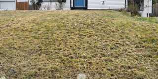 Renton 2 bedroom 1 bath home available now! Gallery 1