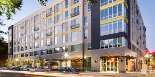 Eviva Midtown Gallery 3