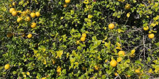 333 THE ESPLANADE N Gallery 46