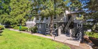 Skyline at Murrayhill Gallery 46