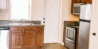 The Jackson Gallery 9