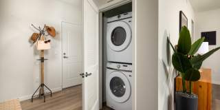 Jefferson Avena Gallery 11