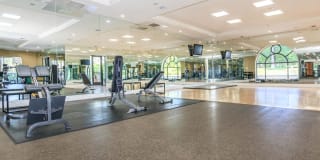 The Orsini Gallery 56