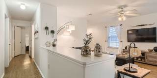 Fully Furnished 3 Bedroom near Greenbelt in Southeast Austin- Easy Access to 35! Gallery 19