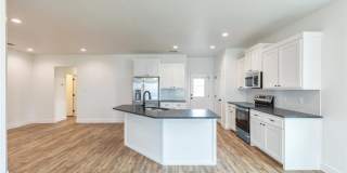 8001 SAWDUST Gallery 8