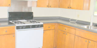 3 BR / 1 BA House off Shoal Creek/Steck! Gallery 12