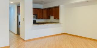 3338 North Sheffield Ave. Apt. Gallery 14