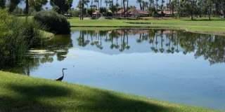 551 Desert Falls Drive N Gallery 13
