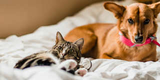 River Terrace Apartment Homes Gallery 12