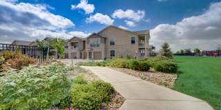 Springs at 2534 Gallery 20