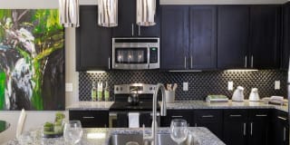Fountain Pointe Las Colinas Gallery 43