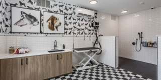 Sylo Apartments Gallery 21