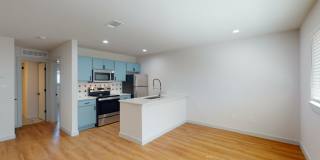 Irving at Bishop Ridge Gallery 4