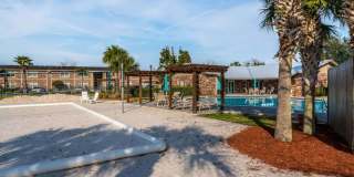 Sea Oats Sea Oats Gallery 36