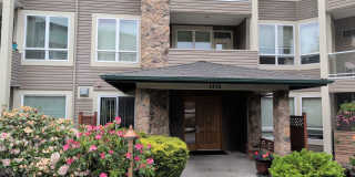 1416 Lindsay Loop, #309 Gallery 1
