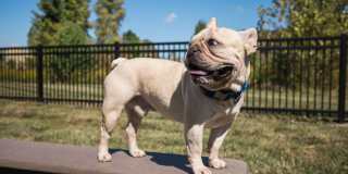 The Ascent Plainfield Gallery 33