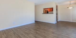 Carrington Gallery 63