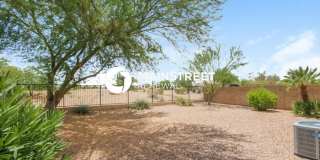 697 East Lovegrass Drive Gallery 15