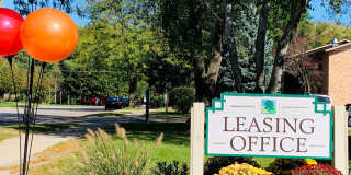 Springtree Gallery 19