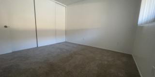 Palmwood Gardens Gallery 8