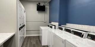 Museum Walk Gallery 5