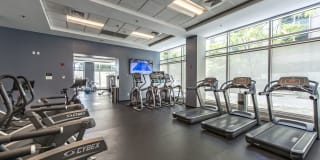 Park Lane Seaport Gallery 23