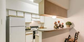 1704 Nelms Dr, #1018 Gallery 7